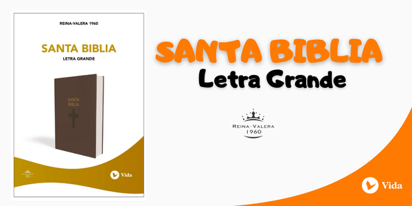 RVR60, Santa Biblia Letra Grande Piel especial Café
Palabras