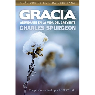 Gracia Abundante En La Vida Del Creyente