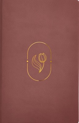 RVR 1960 Biblia de Promesas Virtuosa