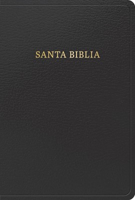 RVR 1960 Biblia letra grande tamano manual, negro imitacion piel (Edicion 2023)