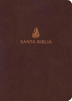 Biblia RVR1960 tamaño manual letra grande con índice
