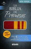 Biblia de Promesas - Edición Jóvenes (Imitación Piel Duotono Marrón - Amarillo)