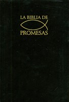 Biblia de Promesas (Rústica)