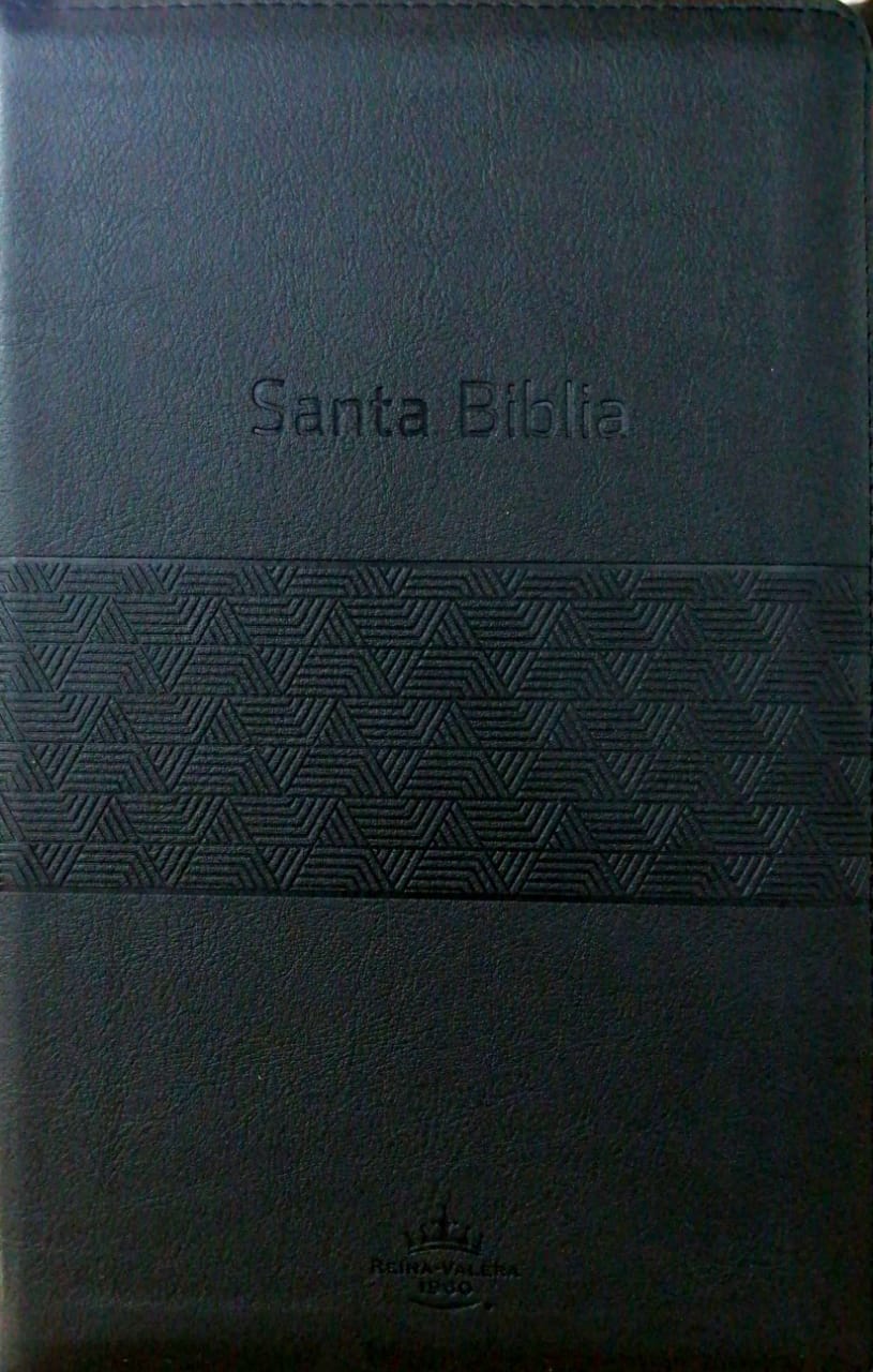 Biblia Letra Grande Tamaño Manual - RVR60 con Estuche e  Índice.