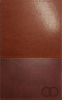 Biblia los Lenguajes del Amor