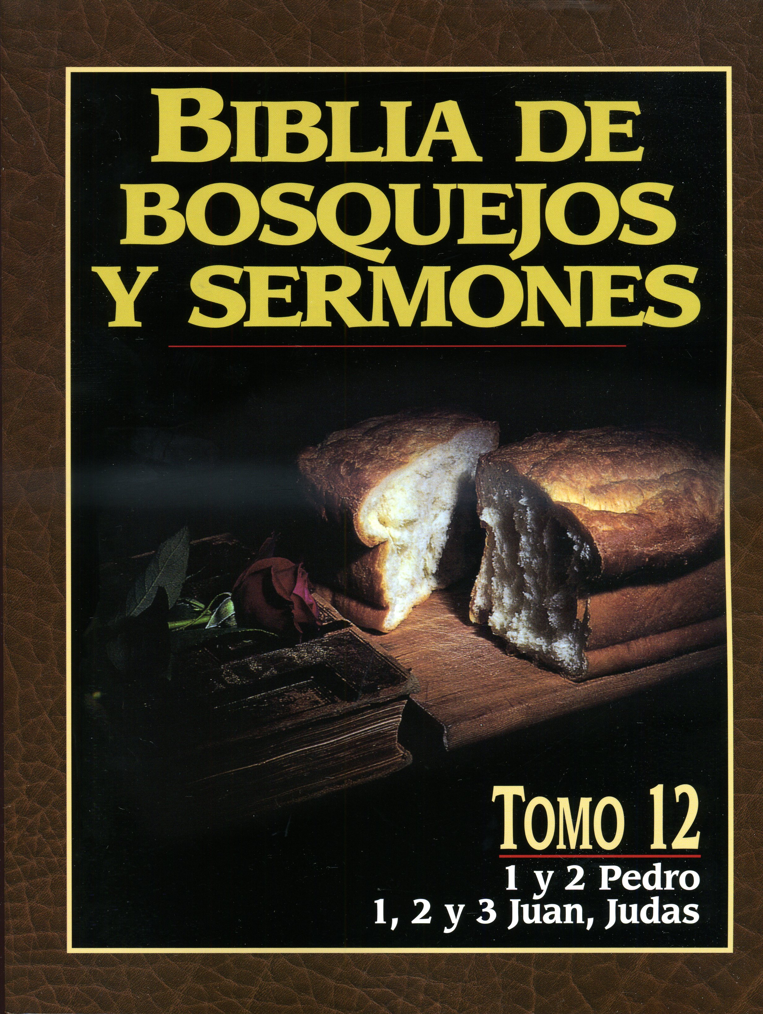 Biblia de Bosquejos y Sermones