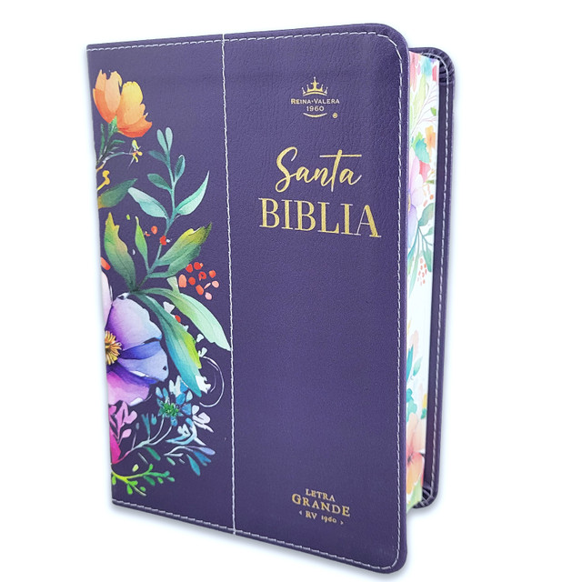 RVR60 Biblia Tamaño Manual Letra Grande con Canto Pintado