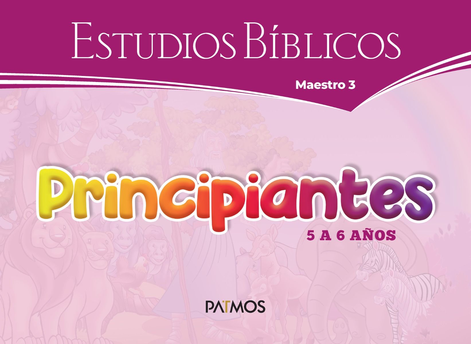 Principiantes Visuales Semestre 2-2025