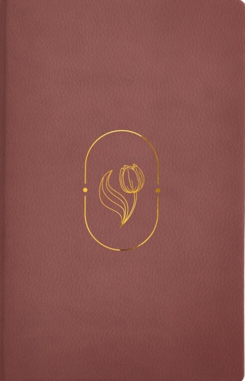RVR 1960 Biblia de Promesas Virtuosa