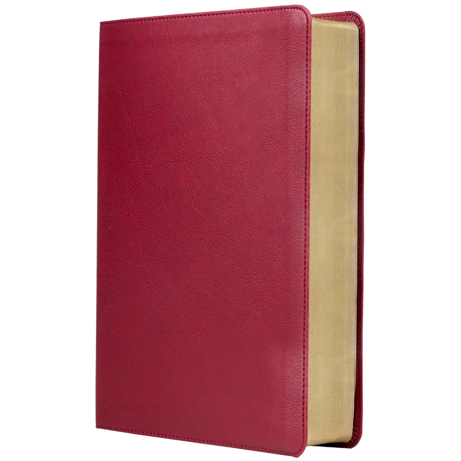RVR 77 Biblia de Estudio Trasfondo Cultural