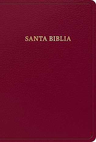 RVR 1960 Biblia letra grande tamano manual, borgona imitacion piel