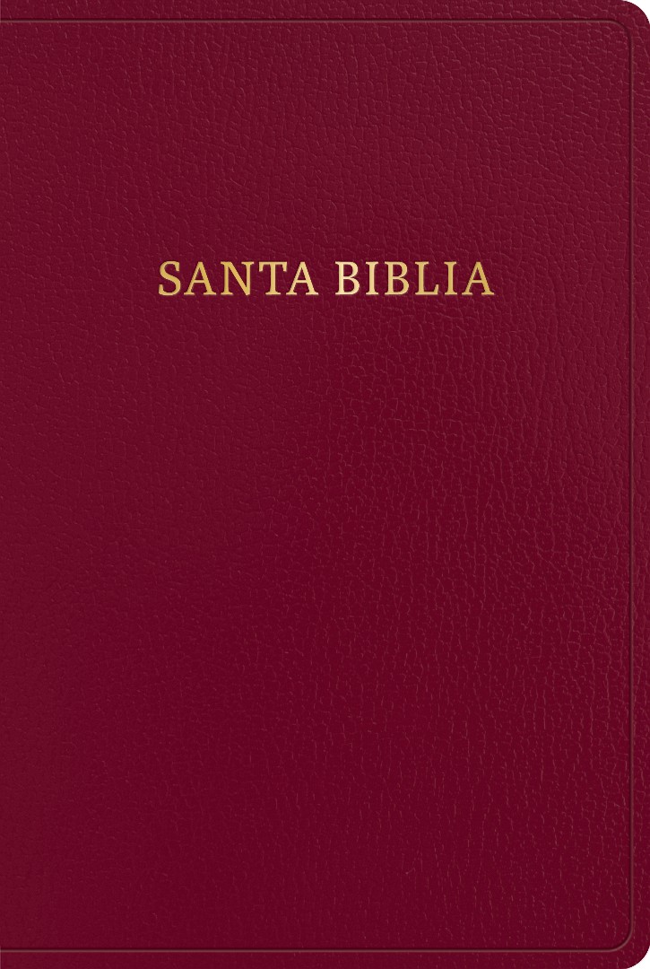 RVR 1960 Biblia letra gigante, borgona imitacion piel