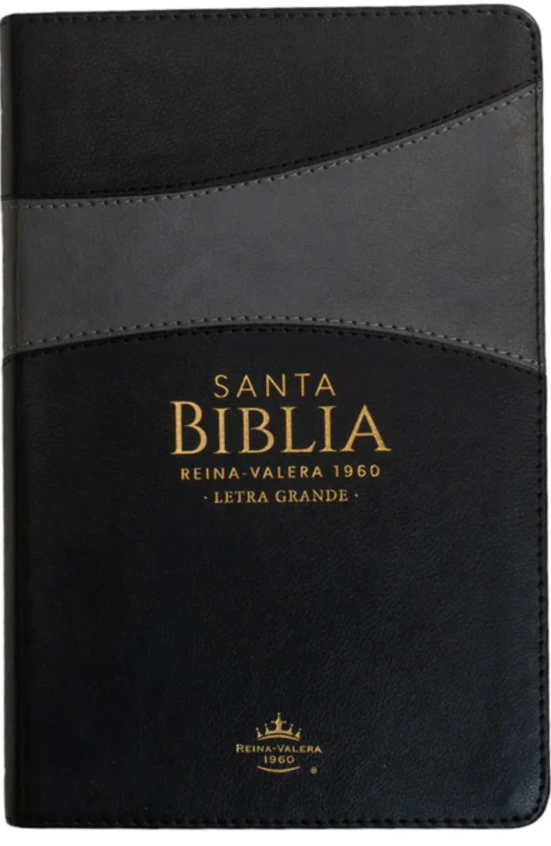 Biblia RVR60 065c LG Bitono Negro/Gris