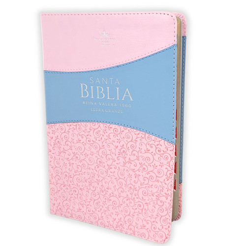 Biblia RVR60 065cti LG Bitono Rosa/azul con índice