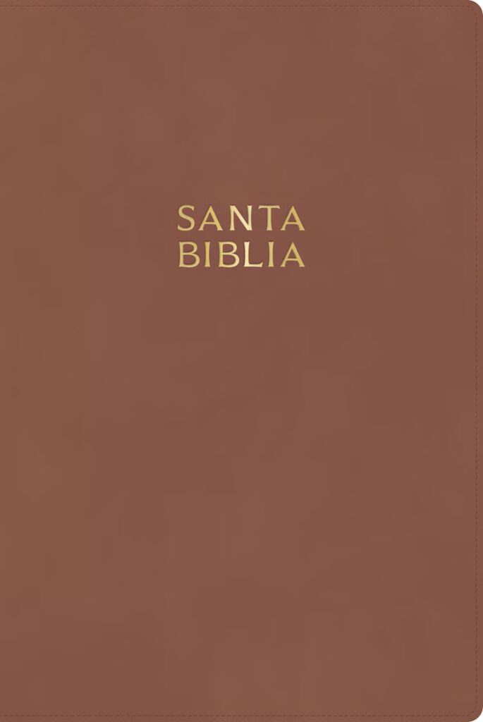 RVR60 Biblia Letra Gigante